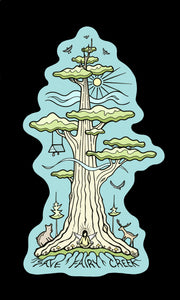 SAVE FAIRY CREEK
